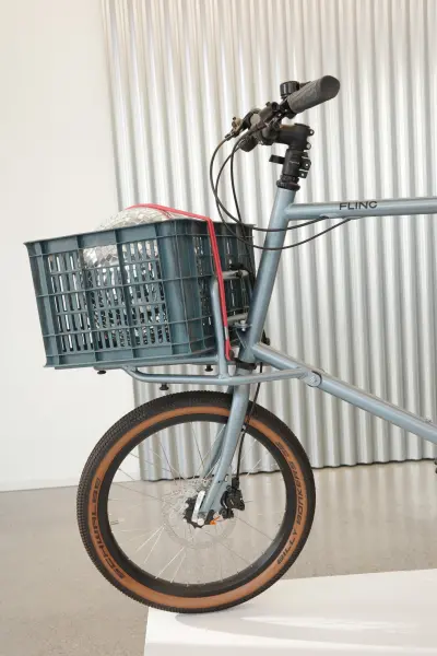 FLINC CYCLES FLINC RE